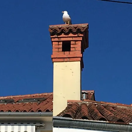 Daire Svetilnik Izola